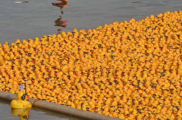 Maschsee13   724.jpg